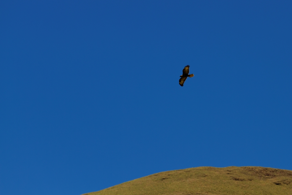 07 - Drankensberg NP (5).jpg